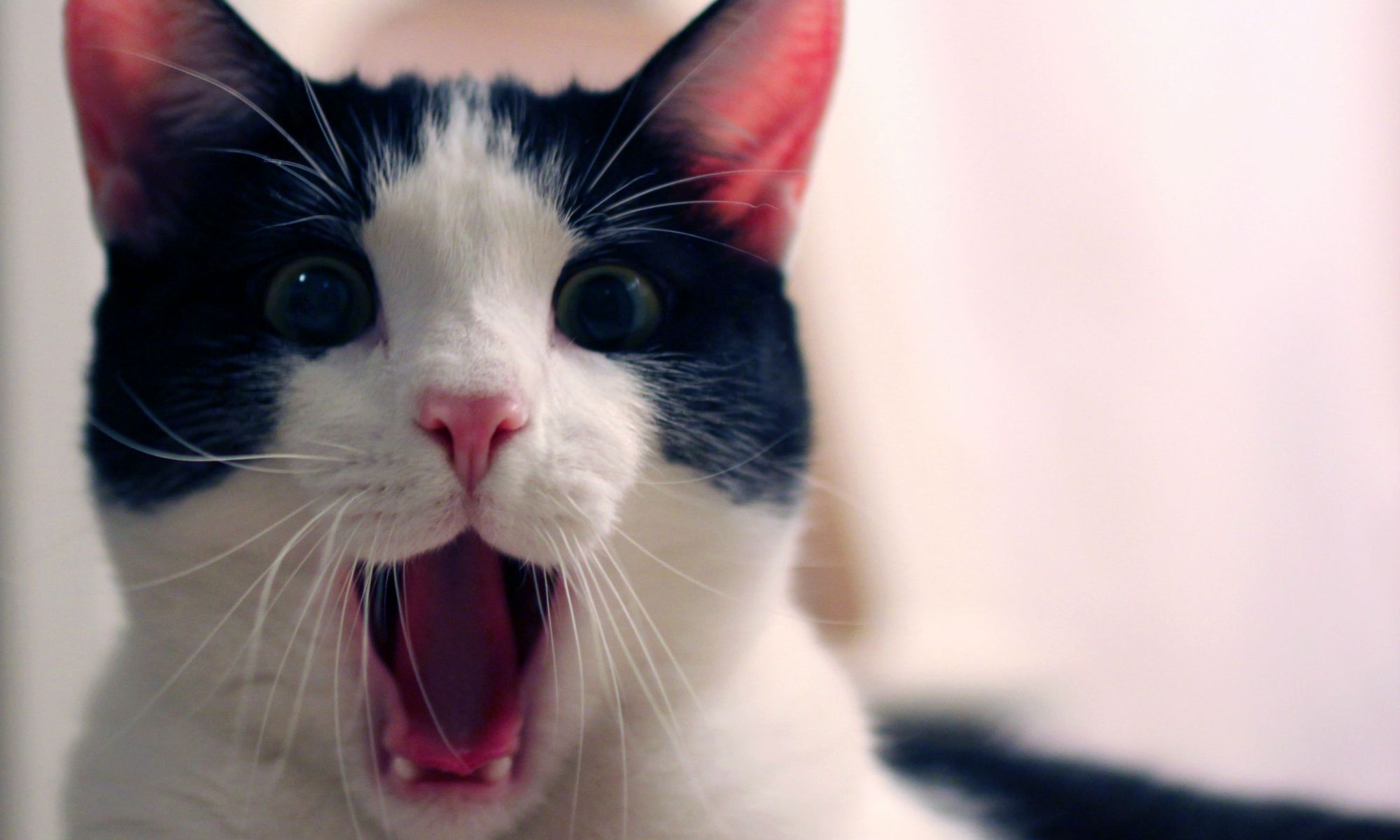 My new book cover rocks!