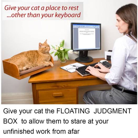 Cat Judgement Box